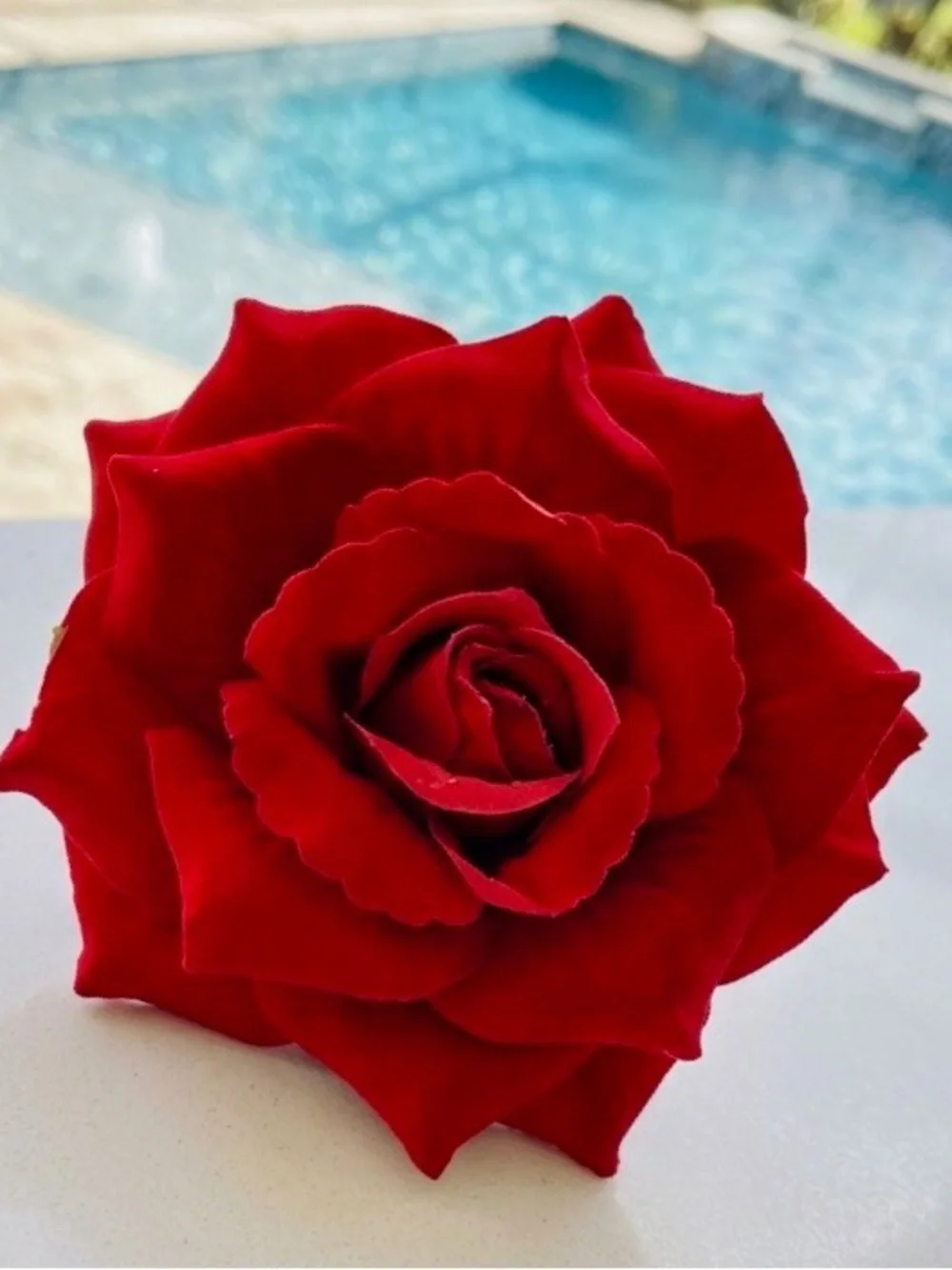 Red Rose Floral Statement Accessory